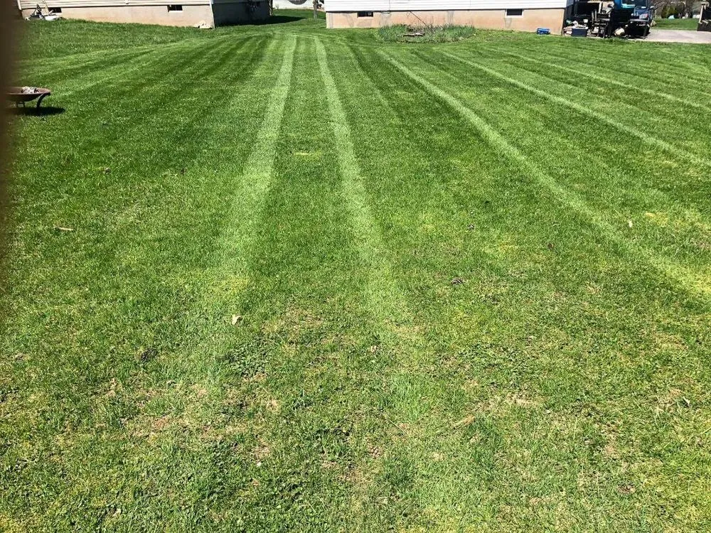 Reliable garden landscaping in Baldwinsville, NY - Big C Services