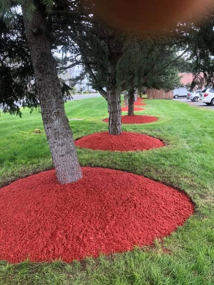 Affordable yard cleanup service in Baldwinsville, NY by Big C Services