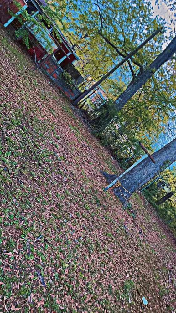 Top-rated landscape installation experts serving Shreveport, LA - Big Cal Lawn Care