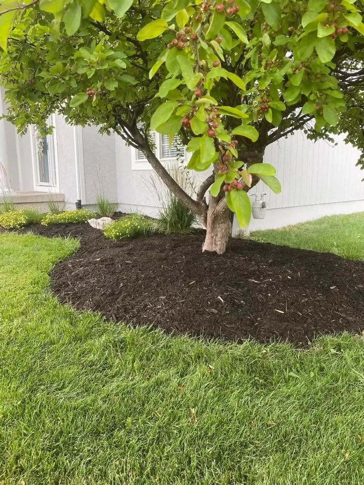 Custom lawn care service in Topeka, KS by Big Cam’s Lawn Care