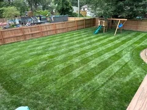 Reliable yard cleanup service near you across Topeka, KS - Big Cam’s Lawn Care