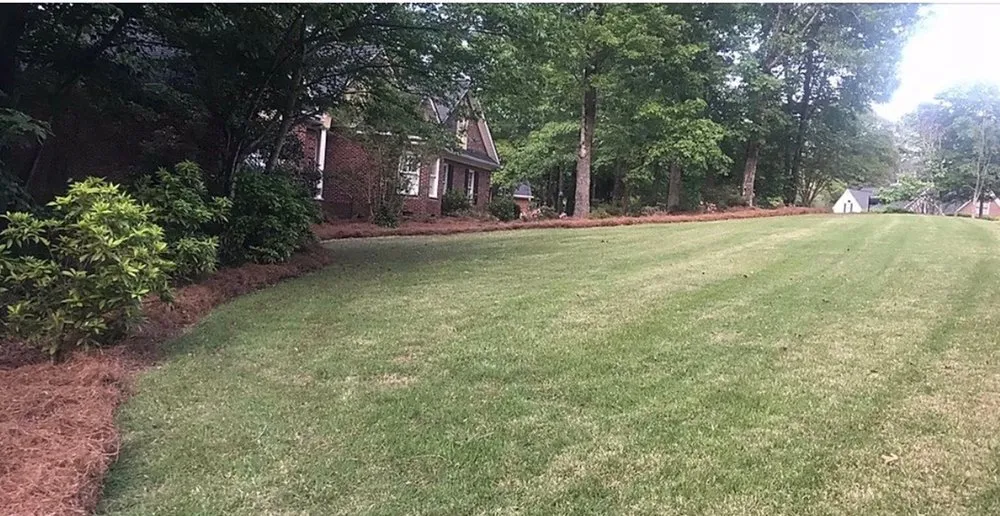 Affordable yard cleanup service in Batesburg-Leesville, SC by Big Cat Lawn Care