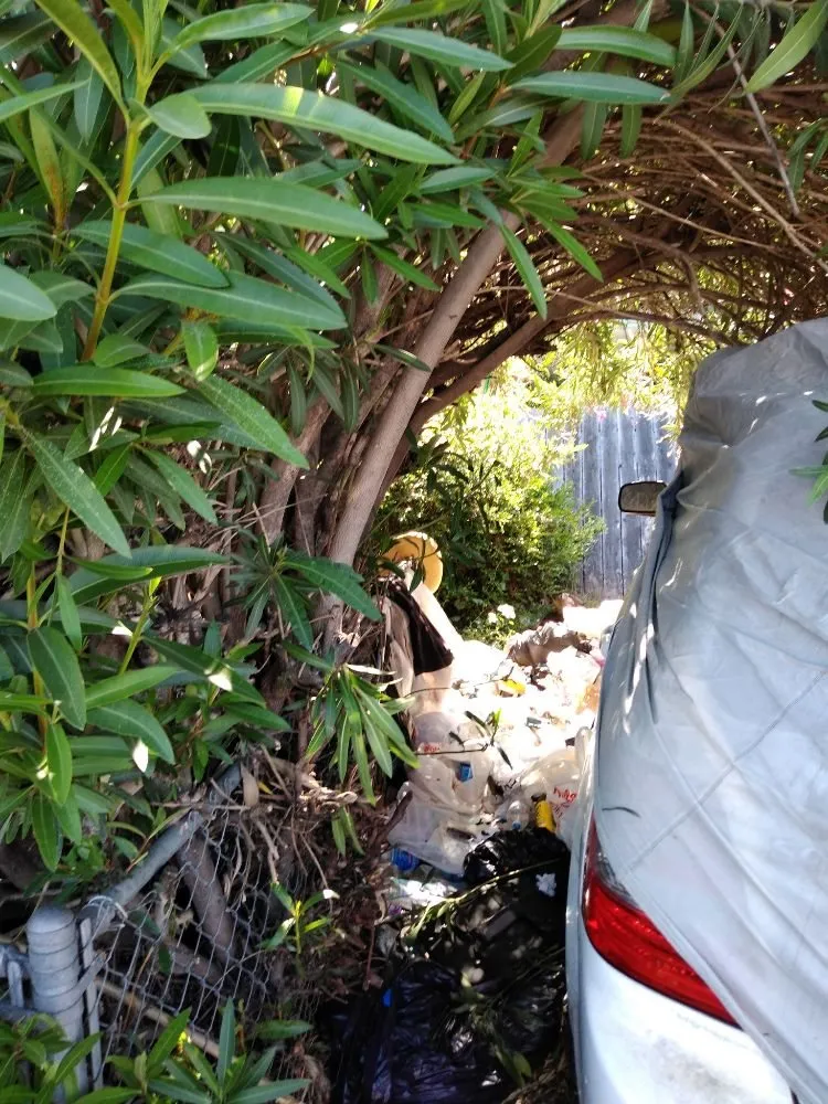 Professional landscape design in Oakley, CA - Big Cheq Services