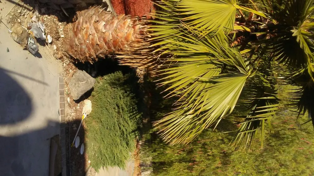 Custom garden landscaping in Oakley, CA - Big Cheq Services