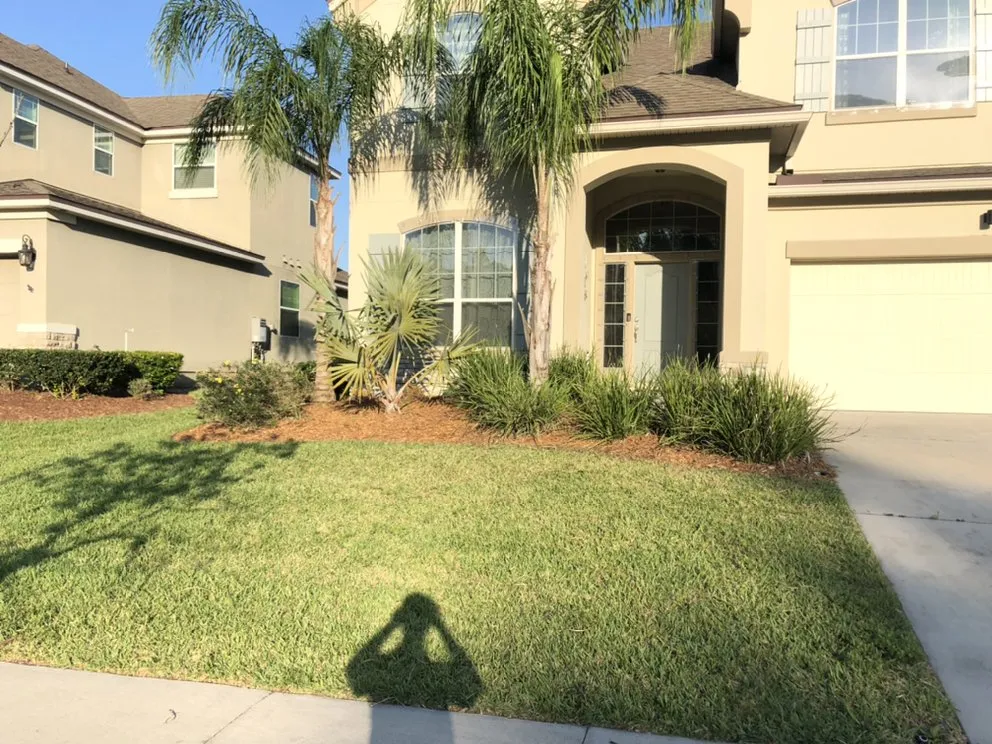 Affordable landscape design experts serving Middleburg, FL - Big City Lawn Care