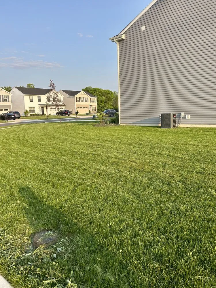 Affordable residential landscaping in Indianapolis, IN by Big Country Lawn Care
