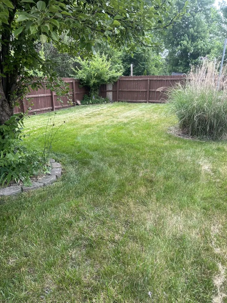 Professional landscape installation in Indianapolis, IN by Big Country Lawn Care