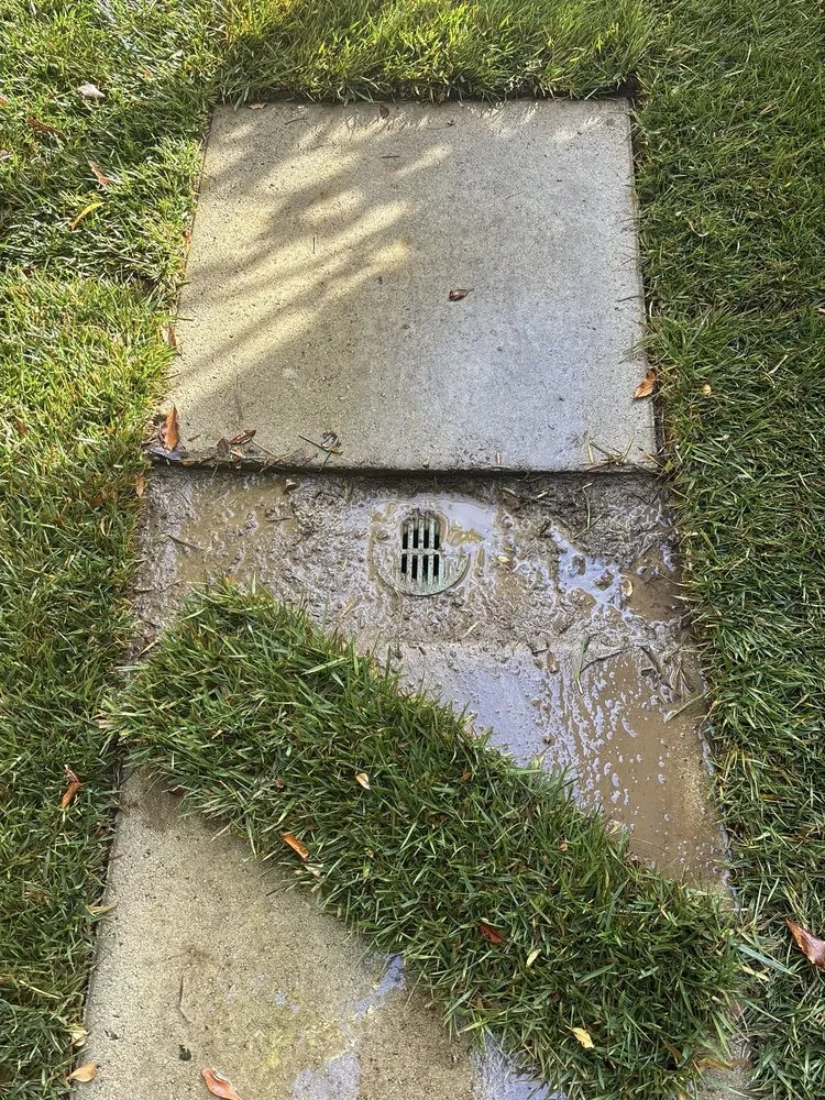 Trusted lawn care service for year-round maintenance in North hills, CA by Big Country Roll Off and Landscape