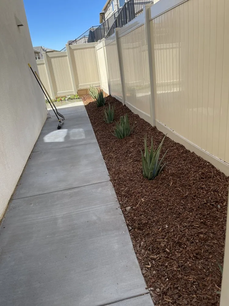 Professional yard cleanup service in North hills, CA by Big Country Roll Off and Landscape