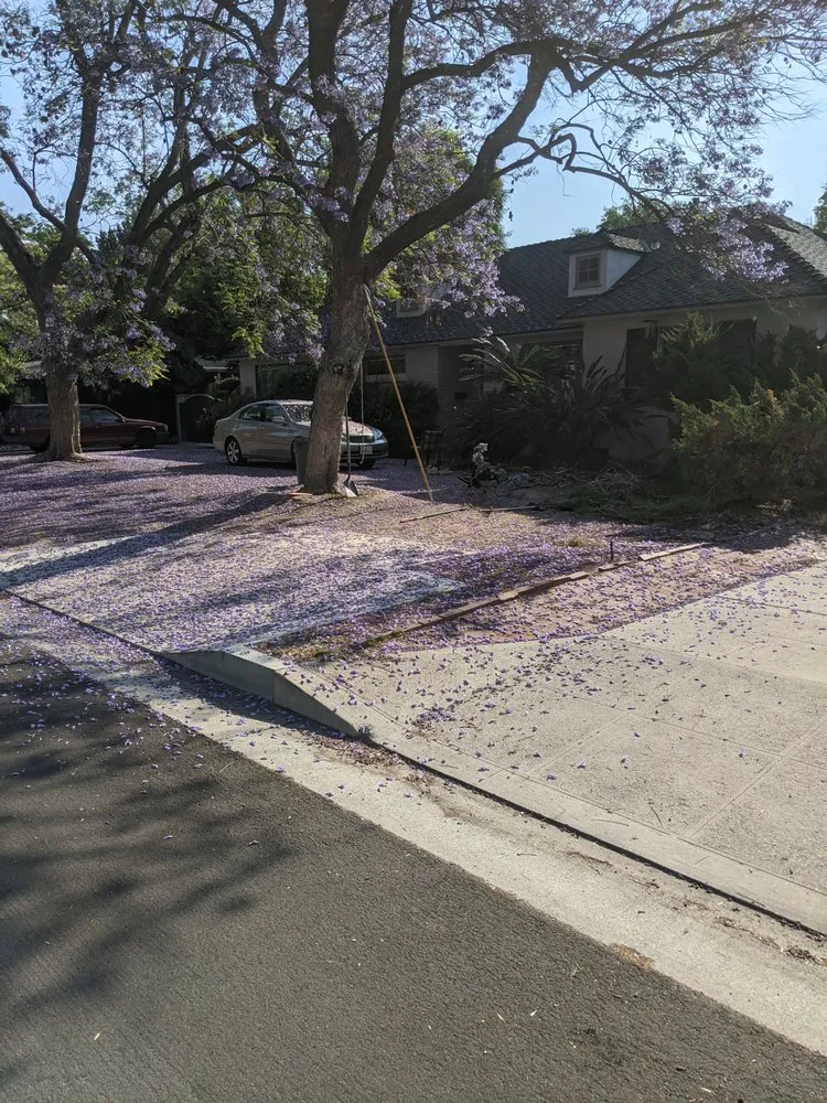 Expert lawn care service experts serving North hills, CA - Big Country Roll Off and Landscape