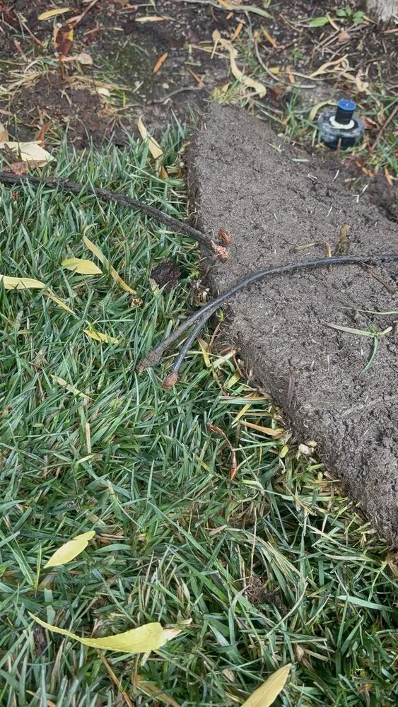 Expert lawn mowing service in North hills, CA - Big Country Roll Off and Landscape