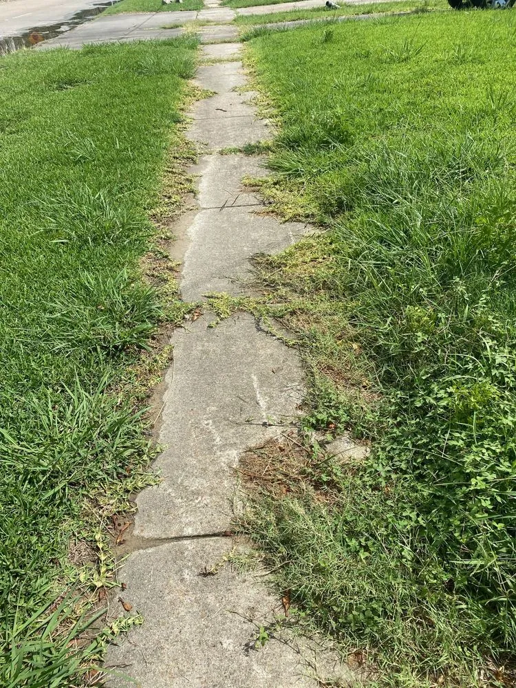 Local lawn care service for year-round maintenance in Lake Charles, LA by Big C’s Lawncare