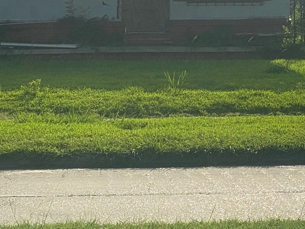 Affordable lawn care service in Lake Charles, LA - Big C’s Lawncare