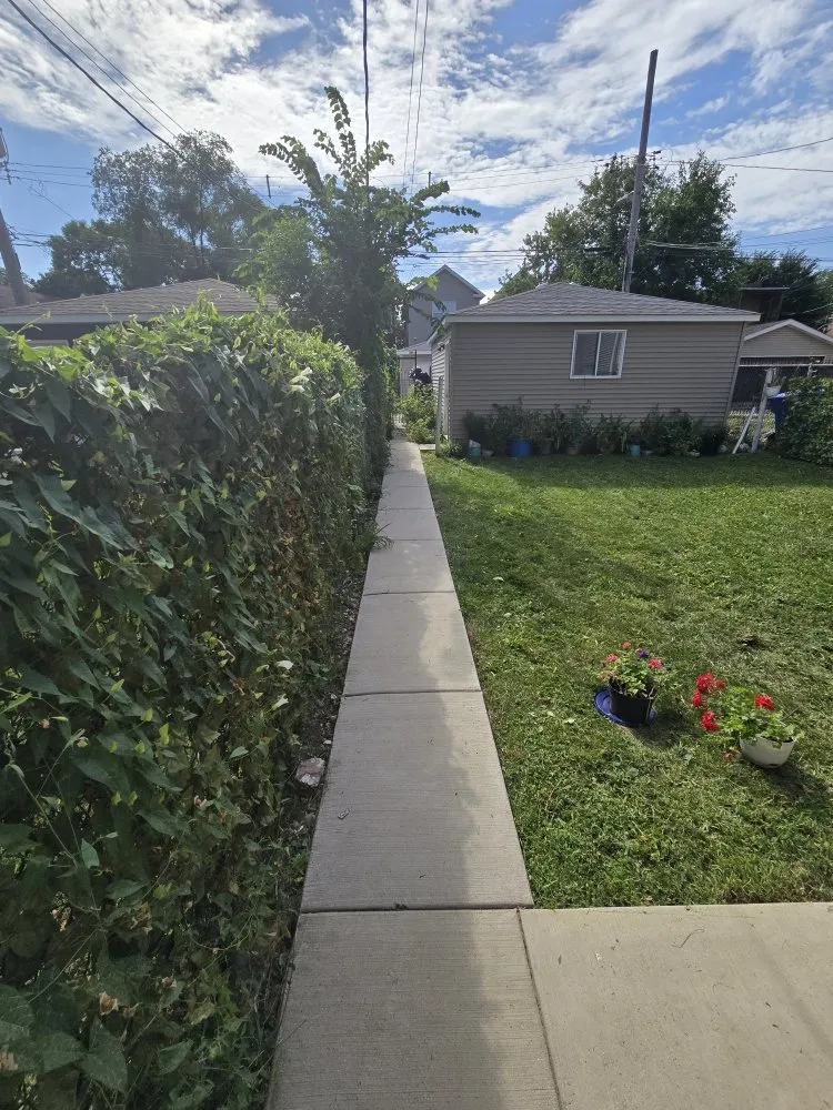 Top-rated yard maintenance experts serving Chicago, IL - Big Cuts