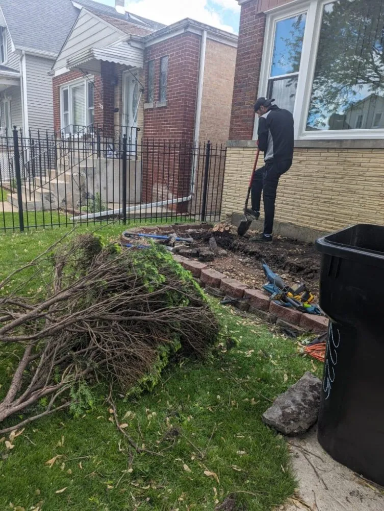 Top-rated landscape installation for year-round maintenance in Chicago, IL by Big Cuts