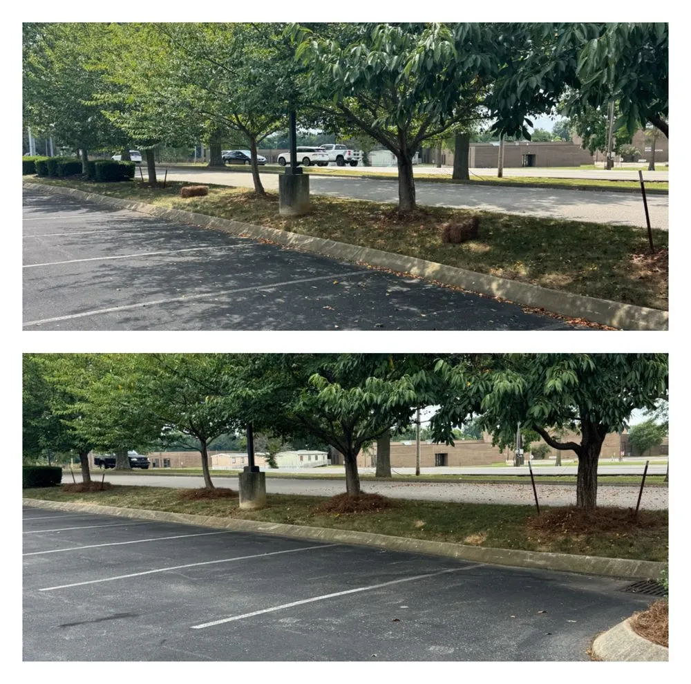 Top-rated outdoor landscaping in Clarksville, TN - Big D Landscaping & Trucking