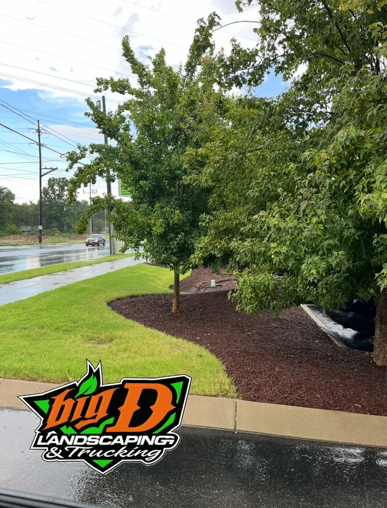 Expert landscaping services in Clarksville, TN by Big D Landscaping & Trucking