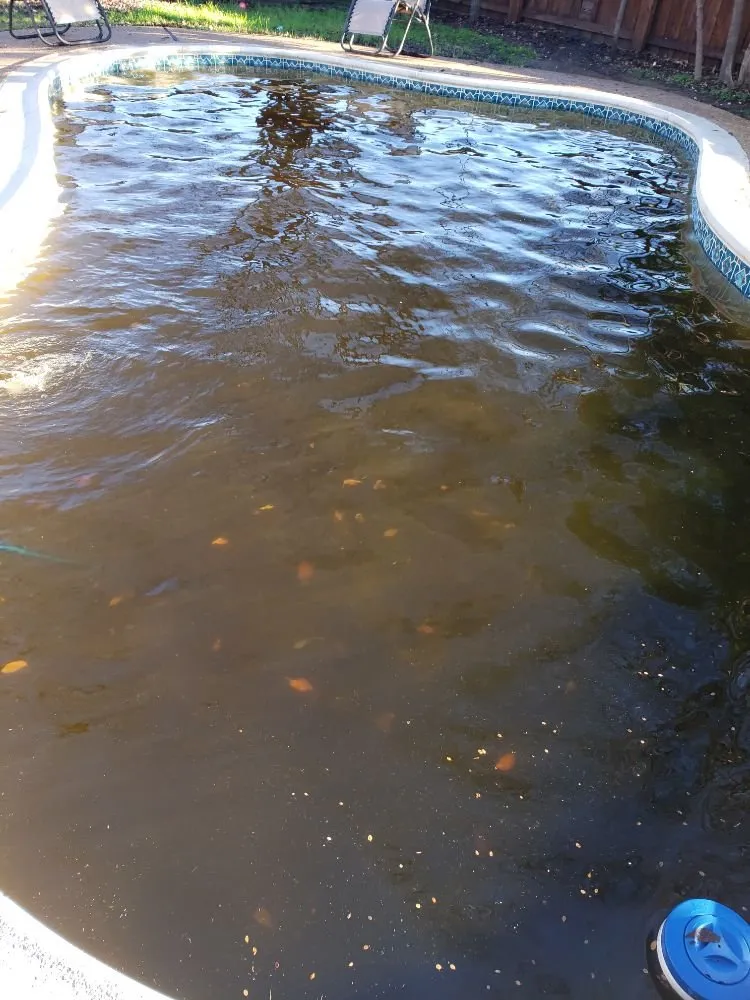 Affordable yard maintenance experts serving Mansfield, TX - Big D Pool Lawn and Fence