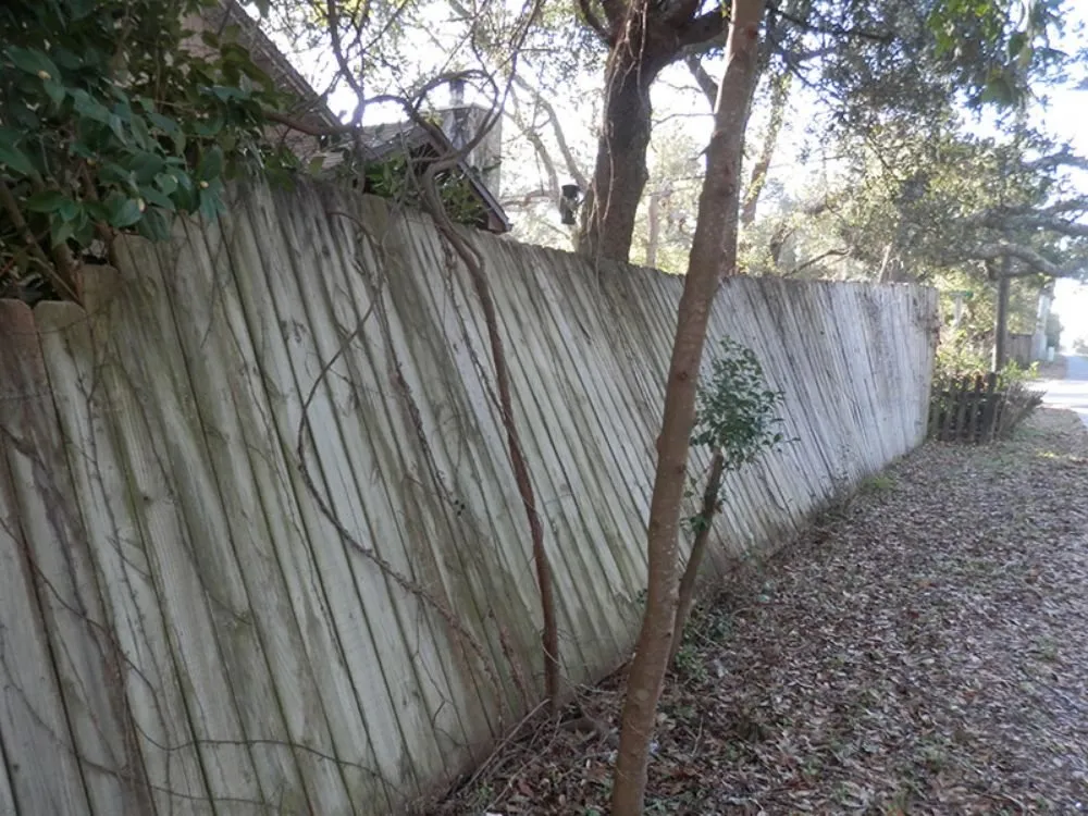 Local garden landscaping in Mansfield, TX by Big D Pool Lawn and Fence