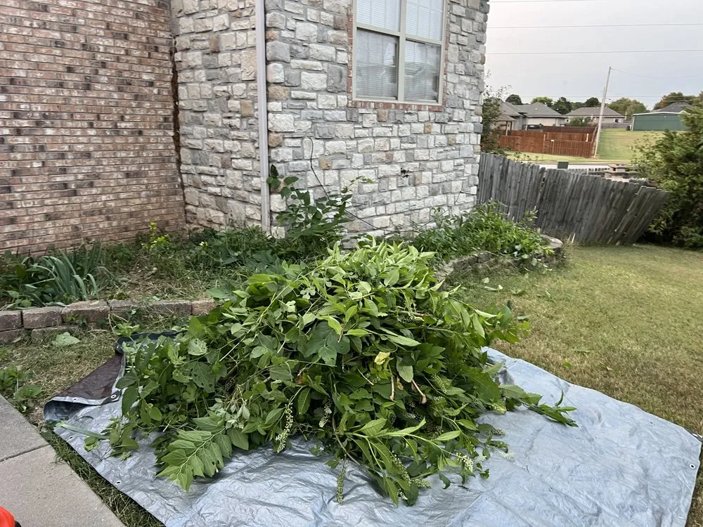 Trusted lawn care service experts serving Springfield, MO - Big Dad and Sons Lawn Care Service