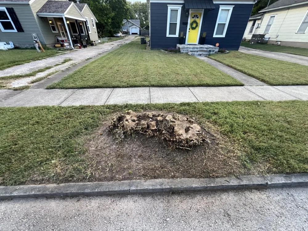 Custom landscaping services for homes across Springfield, MO - Big Dad and Sons Lawn Care Service