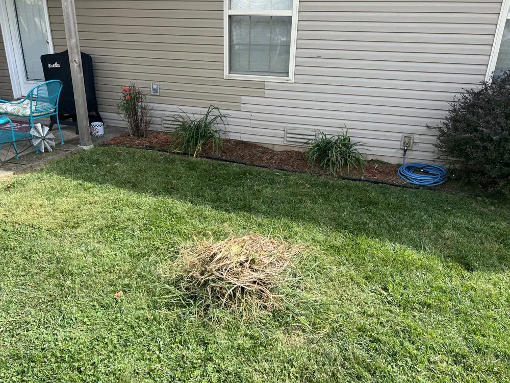 Professional outdoor landscaping for beautiful yards in Springfield, MO by Big Dad and Sons Lawn Care Service