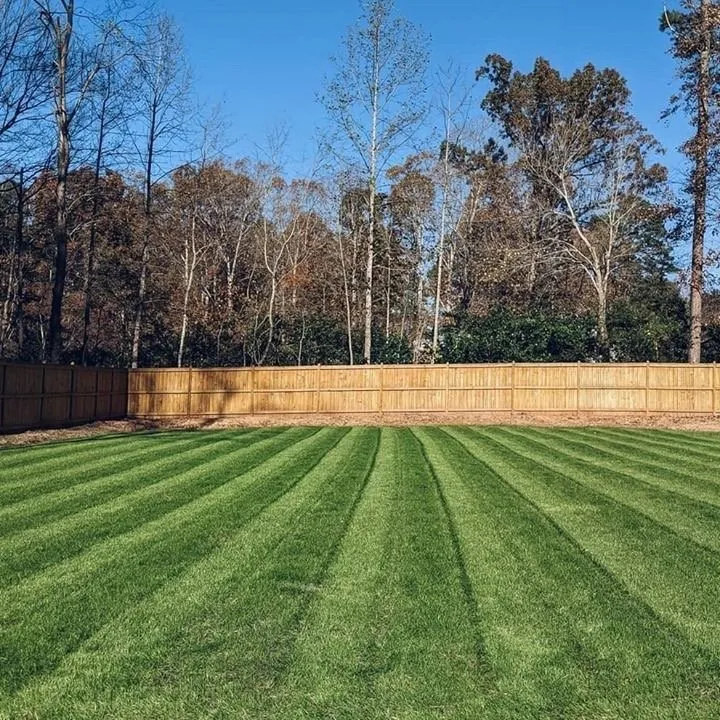 Affordable lawn care service in Springfield, MO - Big Dad and Sons Lawn Care Service