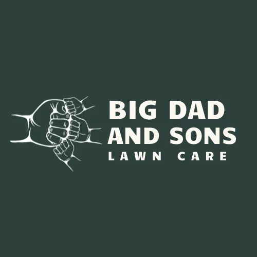 Local landscape installation in Springfield, MO by Big Dad and Sons Lawn Care Service