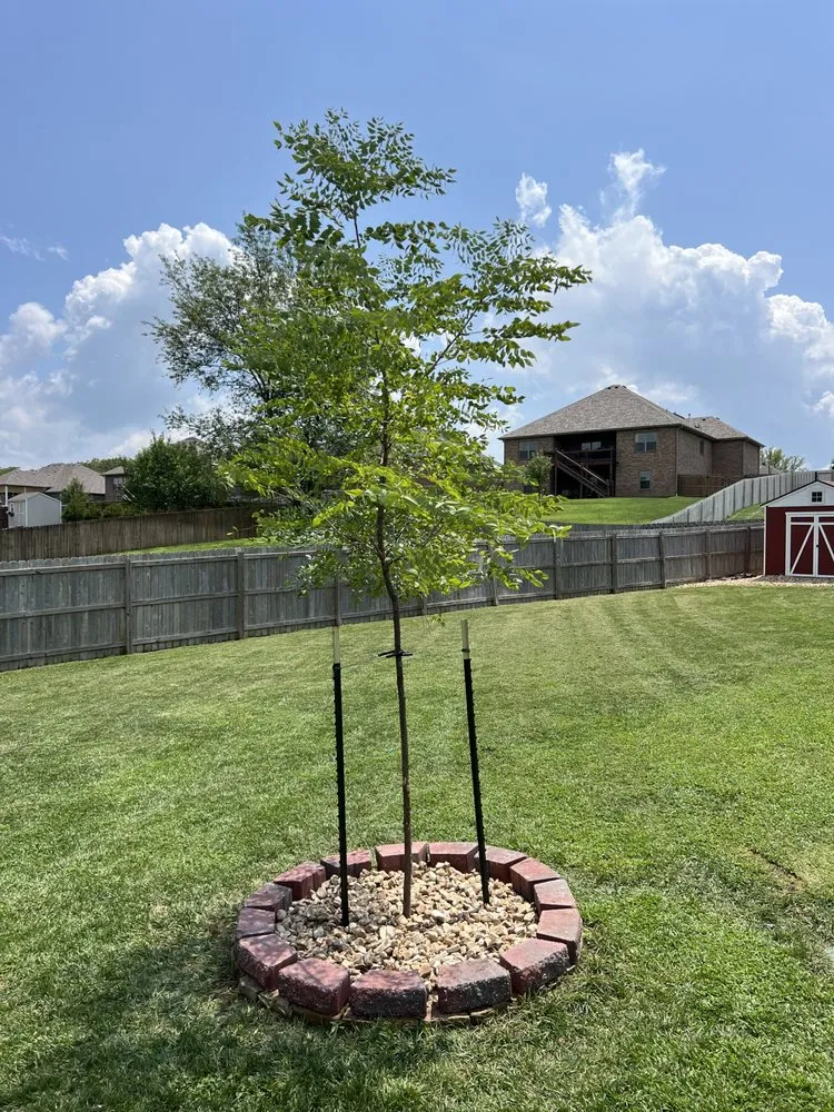 Expert landscape design in Springfield, MO - Big Dad and Sons Lawn Care Service