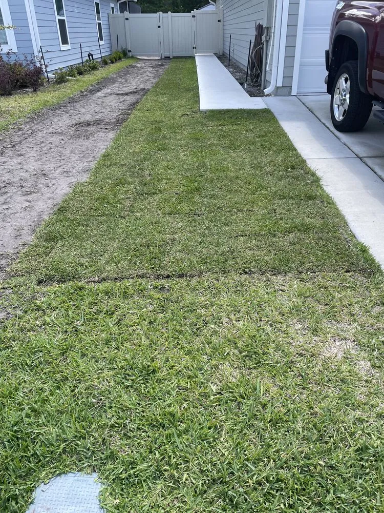 Custom yard cleanup service in Jacksonville, FL - Big Daddy’s Palm Trees