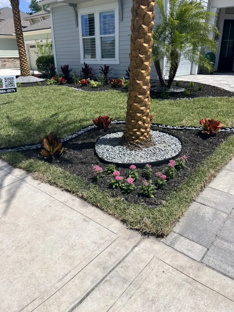 Top-rated landscape design in Jacksonville, FL by Big Daddy’s Palm Trees