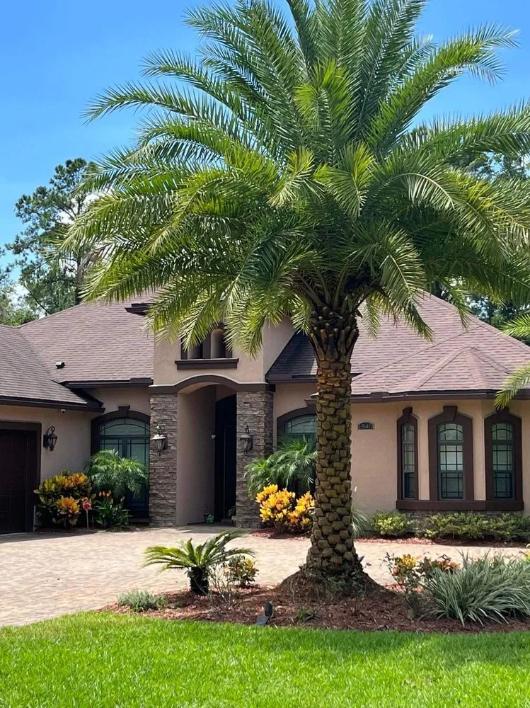 Trusted garden landscaping for outdoor upgrades in Jacksonville, FL by Big Daddy’s Palm Trees