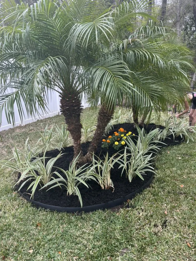 Trusted landscaping services for outdoor upgrades across Jacksonville, FL - Big Daddy’s Palm Trees