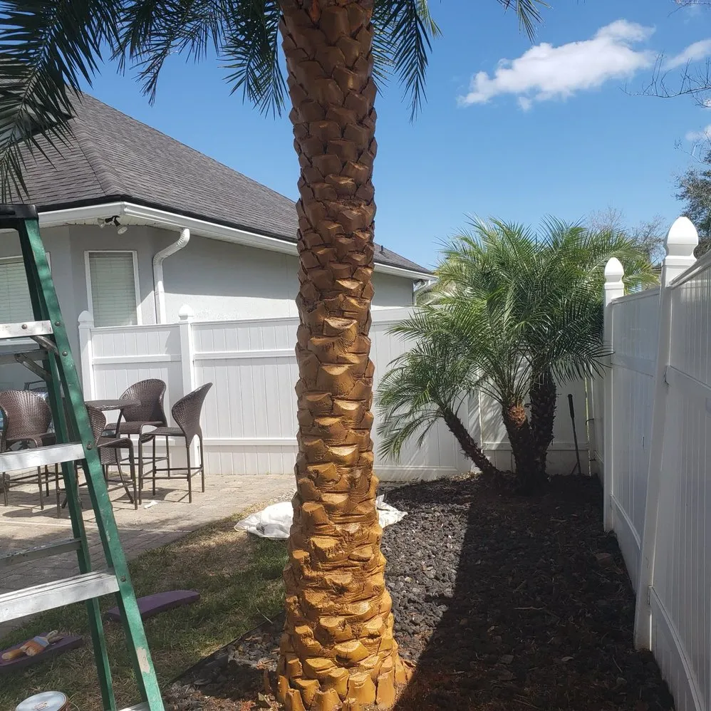 Affordable landscape installation for outdoor upgrades in Jacksonville, FL by Big Daddy’s Palm Trees
