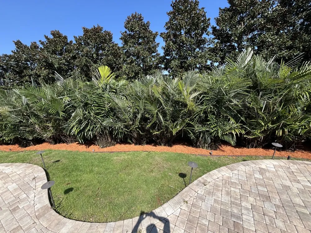 Local landscape installation experts serving Jacksonville, FL - Big Daddy’s Palm Trees