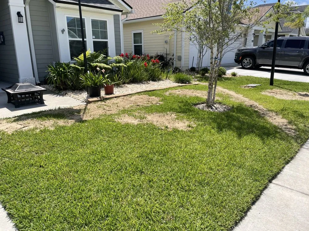 Professional lawn care service experts serving Jacksonville, FL - Big Daddy’s Palm Trees