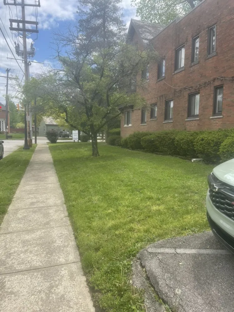 Top-rated lawn care service for year-round maintenance across Columbus, OH - Big Dawg Lawn Care