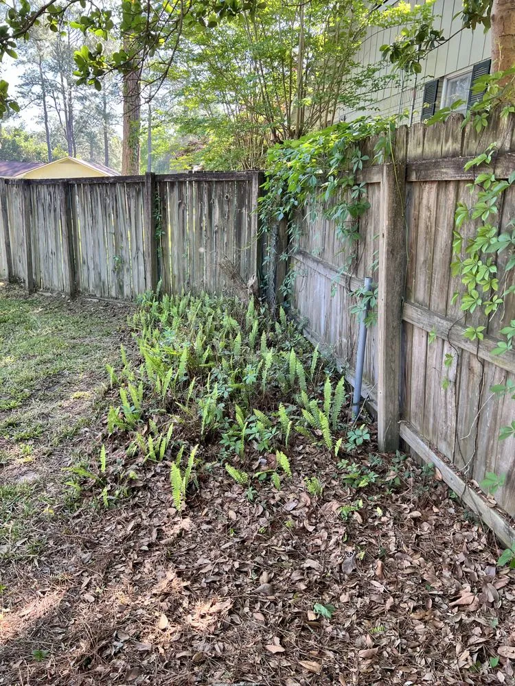 Custom outdoor landscaping in Tifton, GA by Big Dawg Lawn Service