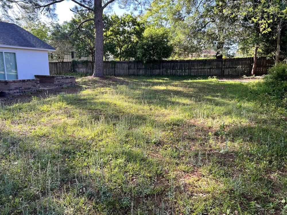 Local landscaping services in Tifton, GA - Big Dawg Lawn Service