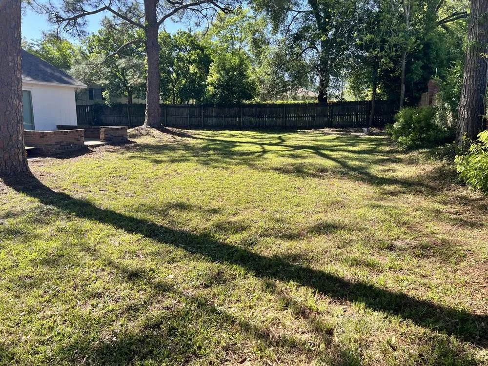 Professional landscape design experts serving Tifton, GA - Big Dawg Lawn Service