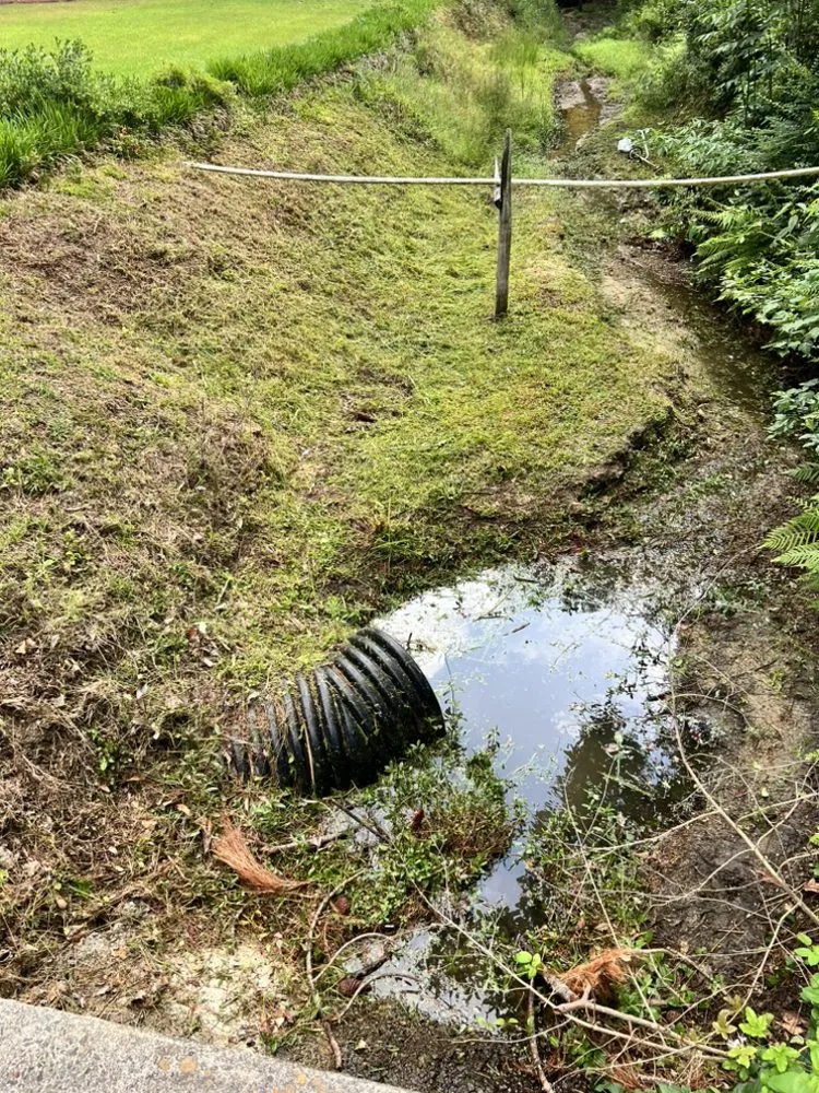 Expert garden landscaping for year-round maintenance across Tifton, GA - Big Dawg Lawn Service