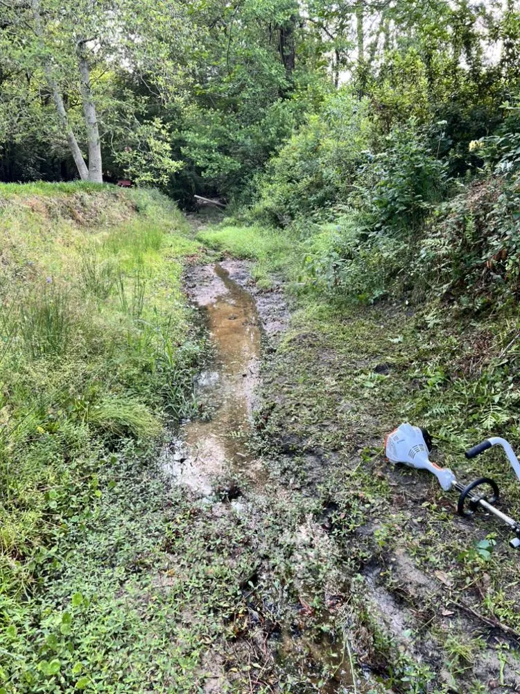 Reliable yard cleanup service for residential properties in Tifton, GA by Big Dawg Lawn Service