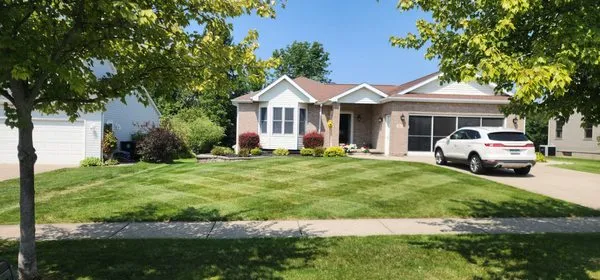 Big Dawg Pressurer Washing Logo