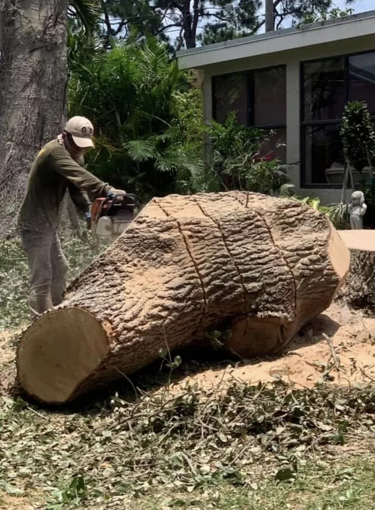 Affordable garden landscaping experts serving Winchester, KY - Big Dawg Tree Service and Stump Grinding