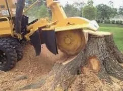 Local lawn care service experts serving Winchester, KY - Big Dawg Tree Service and Stump Grinding
