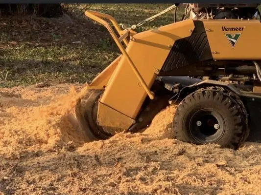 Big Dawg Tree Service and Stump Grinding
