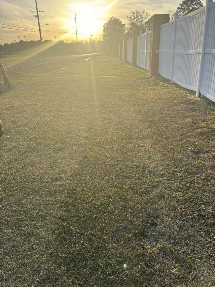 Local yard cleanup service with custom design across Columbus, MS - Big Dawgs