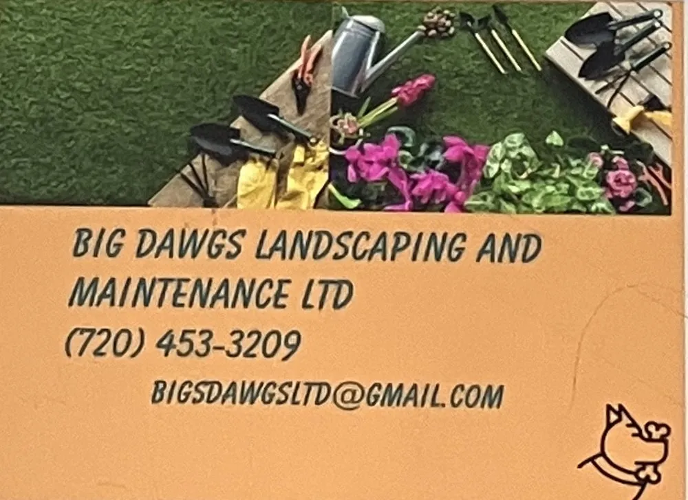 Professional lawn mowing service in Aurora, CO - Big Dawgs Landscaping and Maintainence