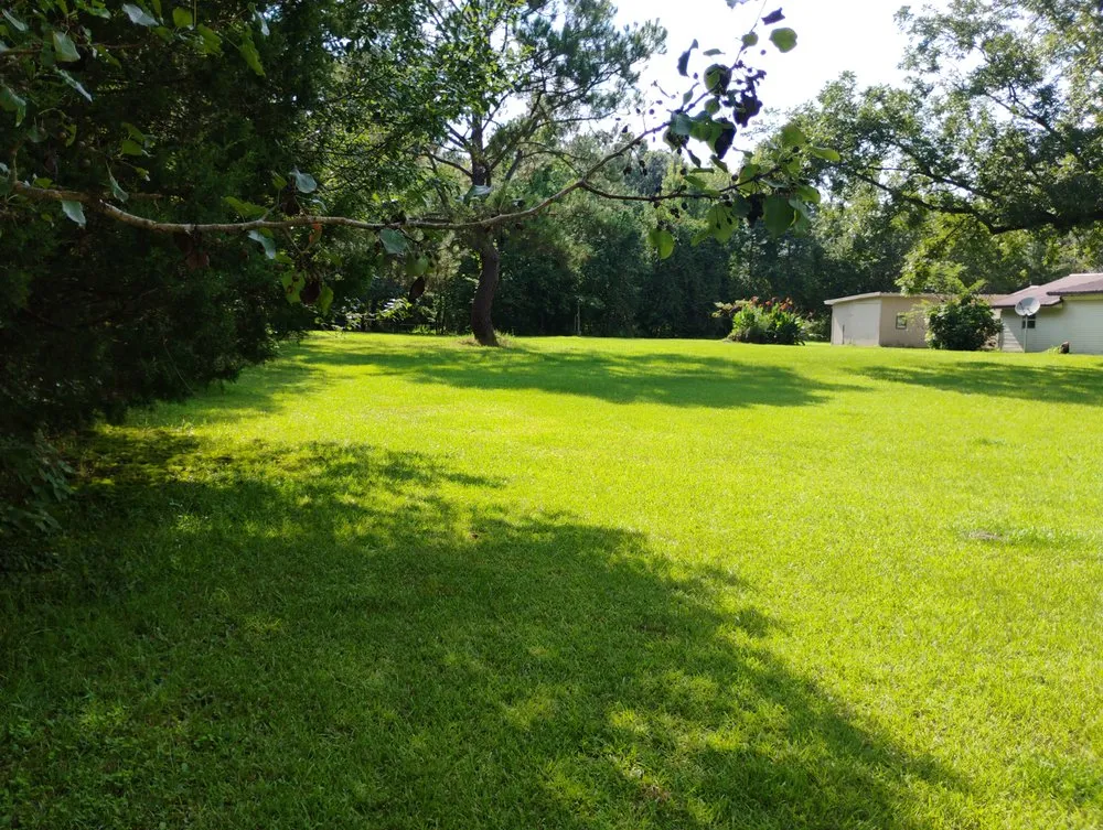 Reliable lawn mowing service in Cottondale, FL by Big Dawg's Lawn Care