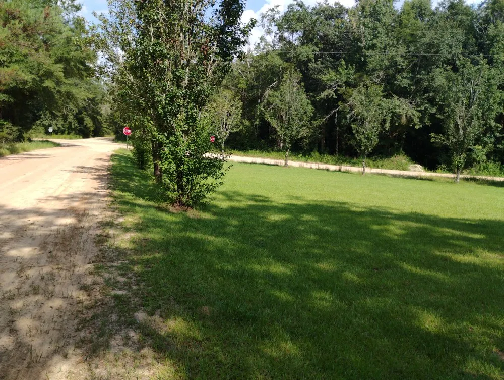 Affordable landscape design in Cottondale, FL by Big Dawg's Lawn Care